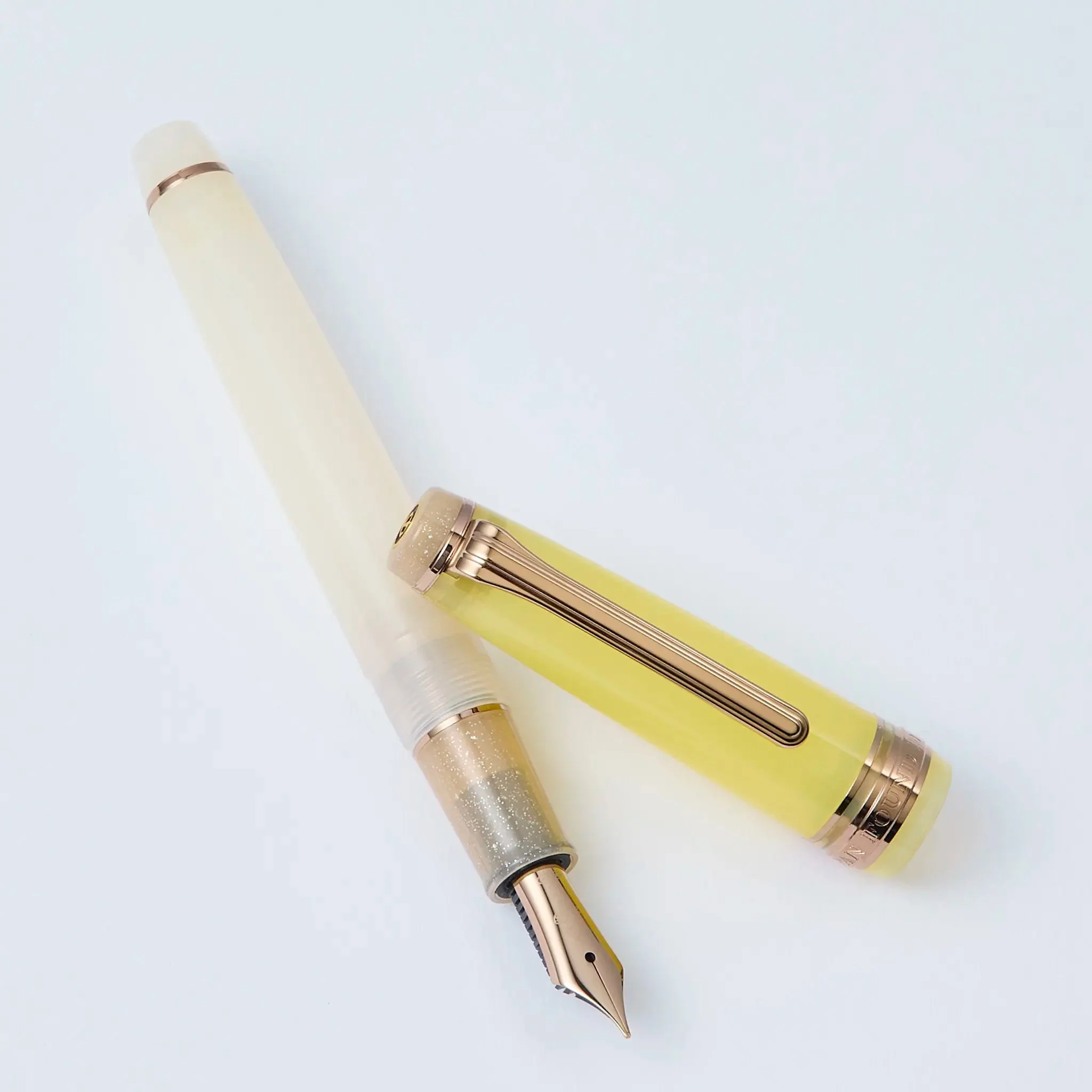 Sailor Dried Flower 2 Marygold Pro Gear Slim fountain pen - Image 3